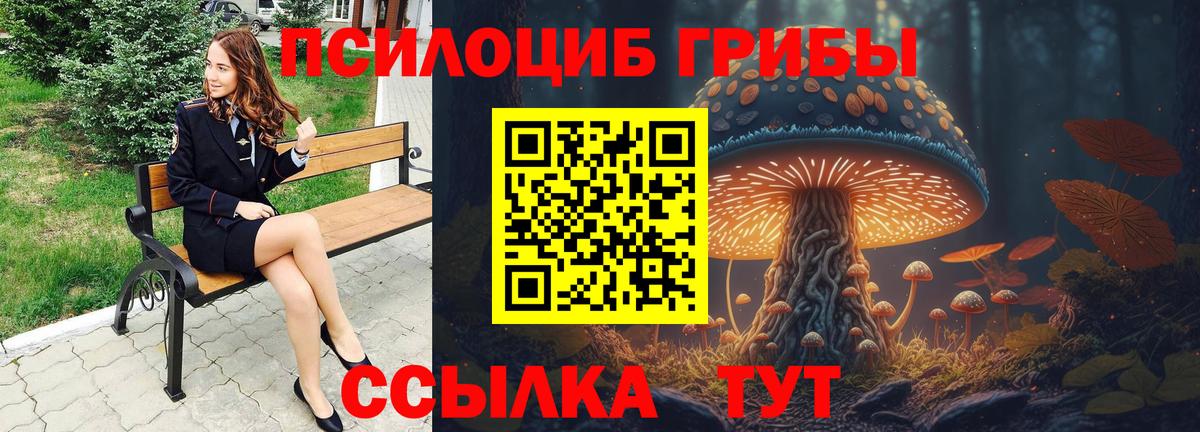 Псилоцибиновые грибы MAGIC MUSHROOMS  Вход с VPN  Комсомольск-на-Амуре  Галлюциногенные грибы мицелий 